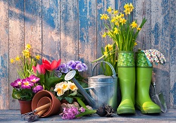 Your Gardening To-Do List!